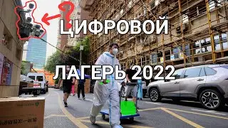 Когда откроют Китай, Шанхай 2022 Локдаун, Где все люди, Актуальные события, Новости Китай.