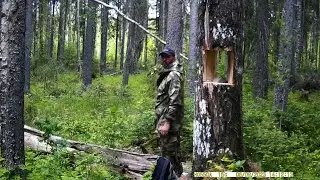 ЗАЙЧИК НА СОЛОНЦЕ. Видео с фотоловушки HC-550.