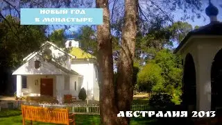 Новый год с комариками