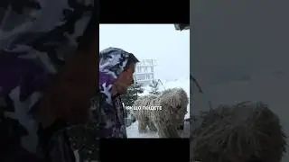 Головний монстр Драгобрату