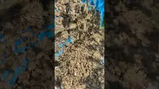 Заселение роя по сходням в улей