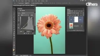 Levels & Curves: Introduction to Photoshop Curves