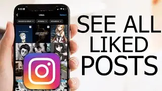 How to View Your Liked Posts on Instagram (2024)