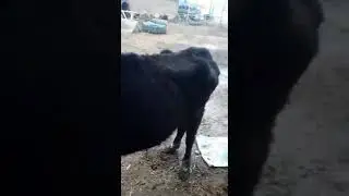 20 февраля 2021 г.