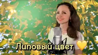 Липовый цвет💛Музыка: В.Могилатов, слова:И.Блоцкий (SEVENROSE), исп.:Наталья Дозорова