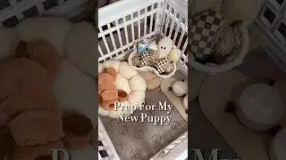 New Puppy Prep 🤍 