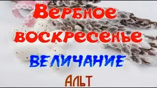 Вербное воскресенье. Величание-обиход. Альт