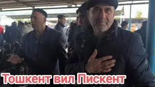 тошкент вил Пискент койлар катори 23.10.2024