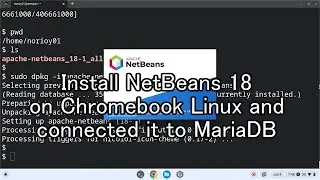 Install NetBeans 18 on Chromebook Linux and connected it to MariaDB