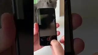 Скрытная запись видео на айфон 