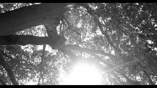 VOYAGER - Max Richter on Sunlight