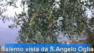 Salerno vista da S  Angelo di Ogliara