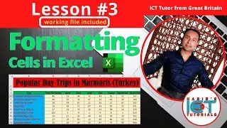 Lesson 3: Formatting Cells in Excel | Make a Spreadsheet look attractive | FREE Excel Course