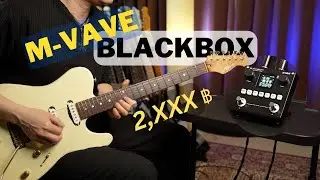 Best budget multi-effects pedal?  (M-VAVE BLACKBOX)