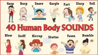 Lesson 26:  40+ Human BODY SOUNDS Vocabulary in 6 minutes in English 