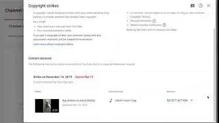 New on YouTube Studio Dashboard: Copyright Strike Info For Creators