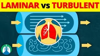 Laminar vs. Turbulent Flow in the Lungs *EXPLAINED*