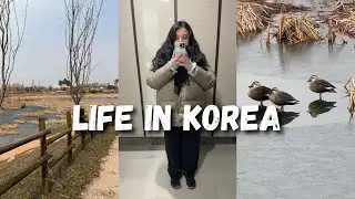 UNSUCCESSFUL DAY 2 OF MY WATER FAST 😅 Life in Korea Mini Vlog