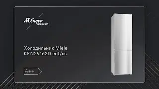 Холодильник Miele KFN29162D edt/cs