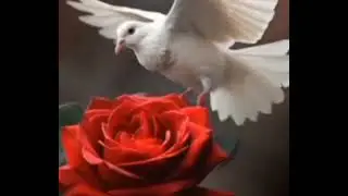 УЗИНГИЗНИ ЭХТИЁТ КИЛИНГ