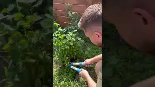 Правда про отдых на даче 😀 #дача #юмор