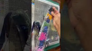 #unboxing #diy #diamondpaintingkit #amsr #amazon #diamondpainting #relaxing #satisfying