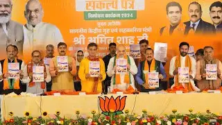 BJP unveils Jammu and Kashmir election manifesto: Key highlights