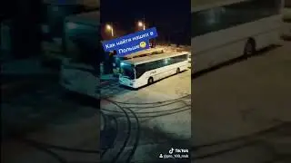 Tik Tok. Как найти наших в Польше.