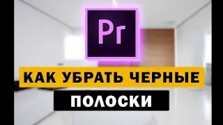 Как убрать черные края или полоски в Premiere Pro