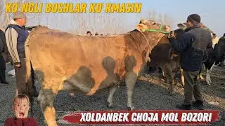 2TA Sigir 91 Millionga Baraka Boldi SHAXRIXON XOLDANBEK CHOJA MOL BOZORI 🔥