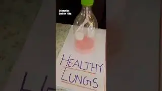 Healthy Lungs Vs Smokers Lungs 🫁 Activity #shorts #ytshorts #youtubeshorts #viral #scienceexhibition