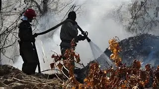 Пожар возле кладбища – сгорело несколько могил