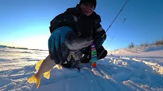 Зимняя рыбалка🐟❄👀 КАК ТО так не плохо.👌🐟❄😎 04.01.2025 г.