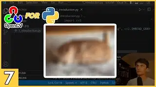 Filters and Kernels in OpenCV for Python - Beginner Tutorial #7