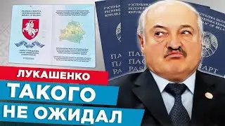 Лукашенко снова обломали / Чем можно заменить белорусский паспорт в Польше и Литве?