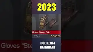 2022-2023 Gloves Steam Rider #стандоф #standoff #standoff2