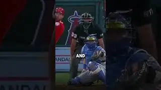 Most Wholesome Moment (mlb)