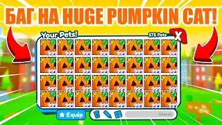 БАГ НА HUGE PUMPKIN CAT В PET SIMUALTOR X! КАК ПОЛУЧИТЬ HUGE PUMPKIN CAT!? Roblox