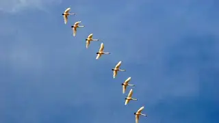 РАНЫ ЗАЖИВАЛИ МЕДЛЕННО. (А. ЭГРОМЖАН)