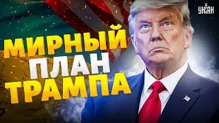 ФЕЙГИН: что не так с мирным планом Трампа?