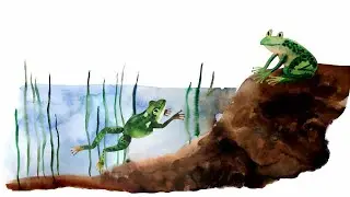 13. Земноводные. Часть 1