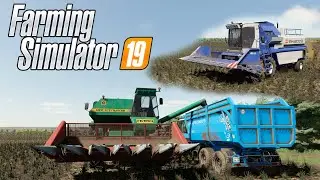 FS19 |Карта Балочки| Уборка подсолнухов НИВА СК-5 Эффект, Енисей-954/1200 1-НМ, МТЗ-1221/1025.2