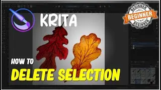 Krita How To Delete Selection