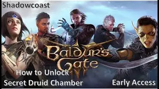 How to Unlock Secret Druid Chamber Baldur's Gate 3