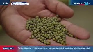 🪴 Сайҳунобод тумани “Янгиҳаёт” маҳалласида истиқомат қилиб келаётган гулчи деҳқон Замира Тожибоева