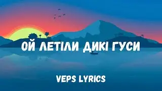 Ой летіли дикі гуси(Tik Tok song)