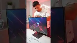 The Perfect Gaming Monitor??