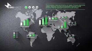 Bioinvest Presentation