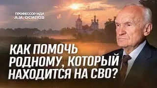 Как помочь родному, который находится на СВО? / А.И. Осипов