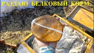 Раздаю перговые лепешки сразу после облёта